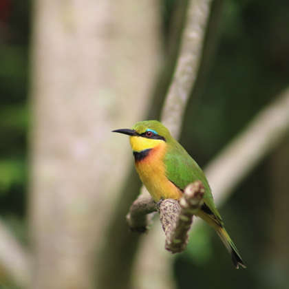 Photographer Anthony Wallis Durban  South Africa