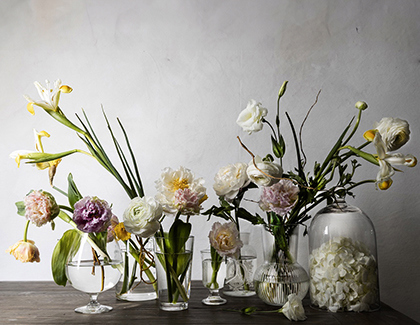 What Is Still Life in Photography? Tips, History, and Composition Ideas