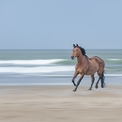 Photographer Jennifer Mayer 