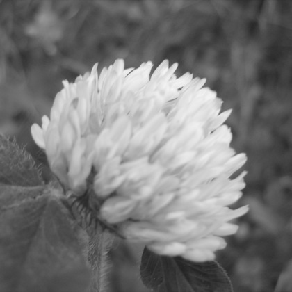 Photographer Robert Valencia Charlotte NC United States