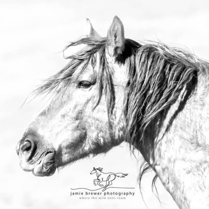 Photographer Jamie Brewer Nampa  ID United States