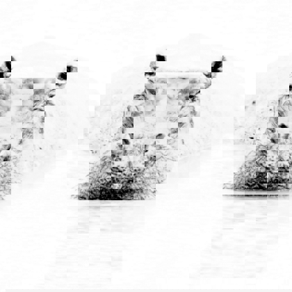 Photographer Martine BOUR FAMECK  France
