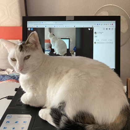 Photographer Jim Wasserman 