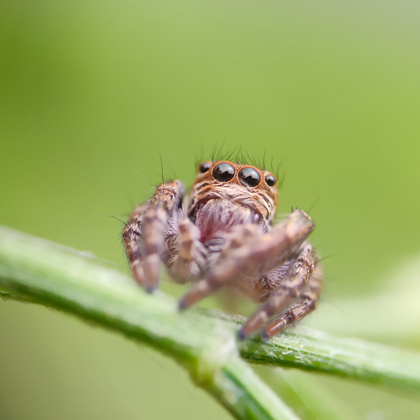Photographer Antaryami Das Cuttack  India