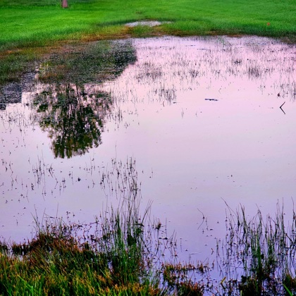 Photographer Analise Traynham Hutchinson MN United States