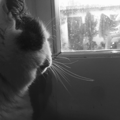 Photographer Filippo Zaffoni Ferrara  Italy