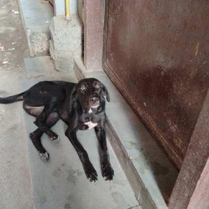 Photographer Himanshi Tyagi New delhi  India