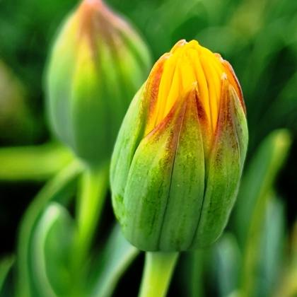 Photographer Muhamad  Farhany 