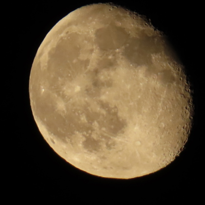 Photographer Skyler Green 