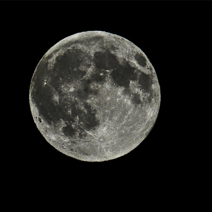 Photographer Liam Youngward 