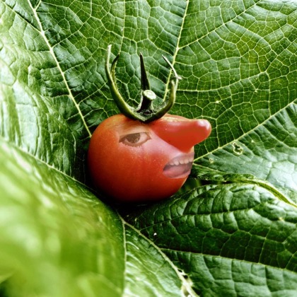 Photographer Danielle Mckechnie Sault Sainte marie MI United States