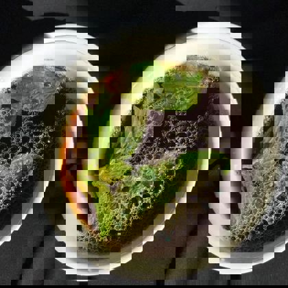 Photographer Aazib Shah   India