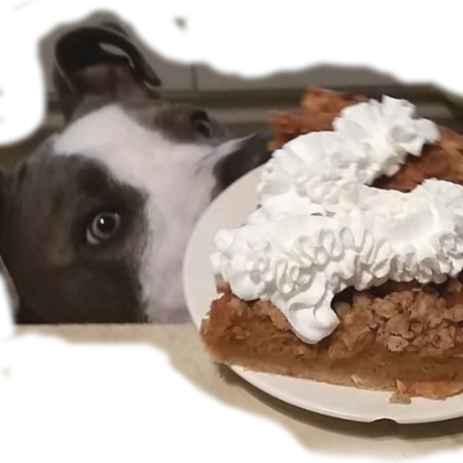 Photographer James Wagner Fort Smith  AR United States