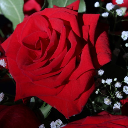 Photographer Emma  Houle  ND United States