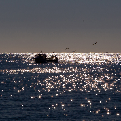 Photographer Kristian Narveson  CO United States