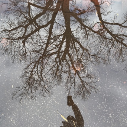 Photographer Tina Karimi 