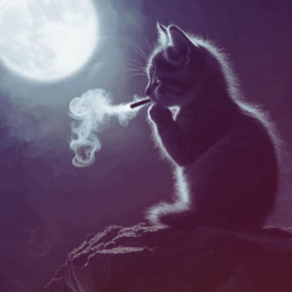 Photographer Sofi pisua 