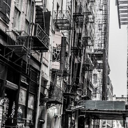 photographer elisank79