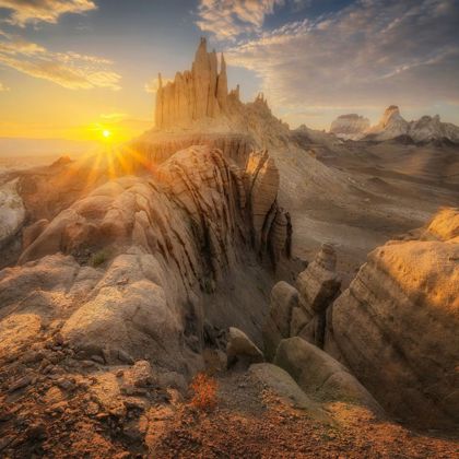 Photographer hary  hammad 