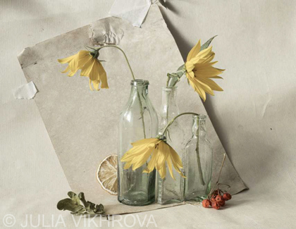 Floral Visions - Flower Photography Contest Winners 2025