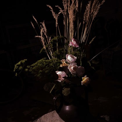 Miles Barnfield photographer profile