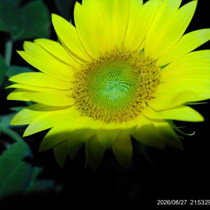 Autumn Magee photographer profile