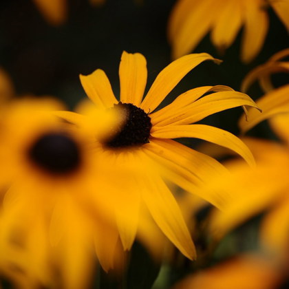 Photographer Ioan Woolley Liverpool  United Kingdom of Great Britain