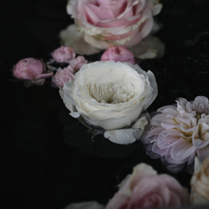 Photographer Helena Meile St. Gallen  Switzerland